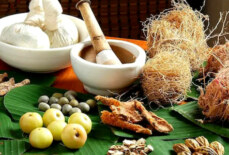 Integration of Traditional Medicine in Modern African Healthcare