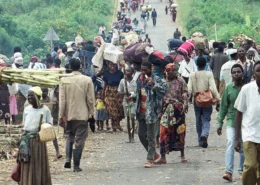 What were the main causes of the Rwandan Genocide, and how did historical tensions contribute to the conflict?